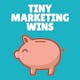 Tiny Marketing Wins 2.0