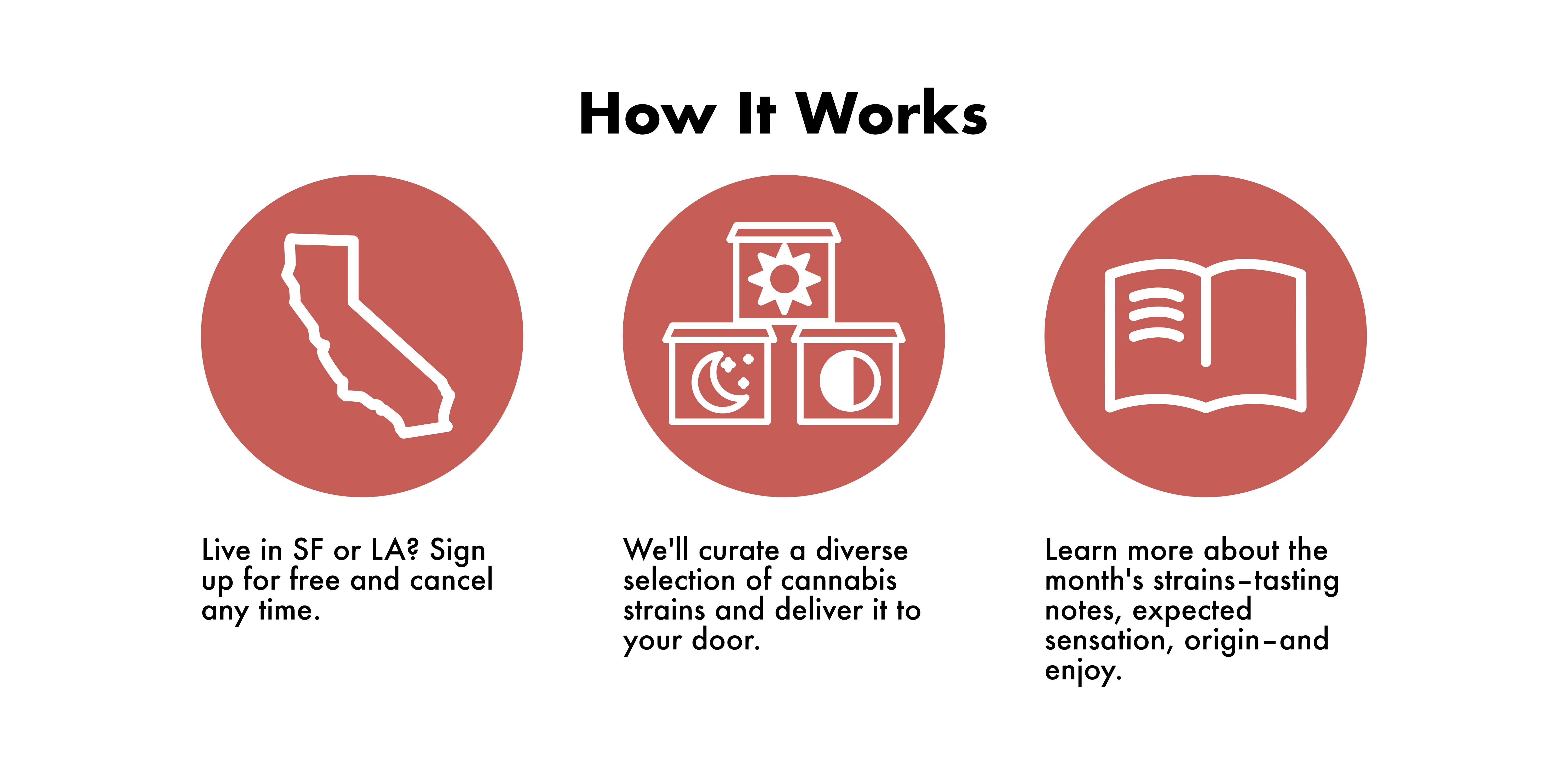 Elation Society gallery image