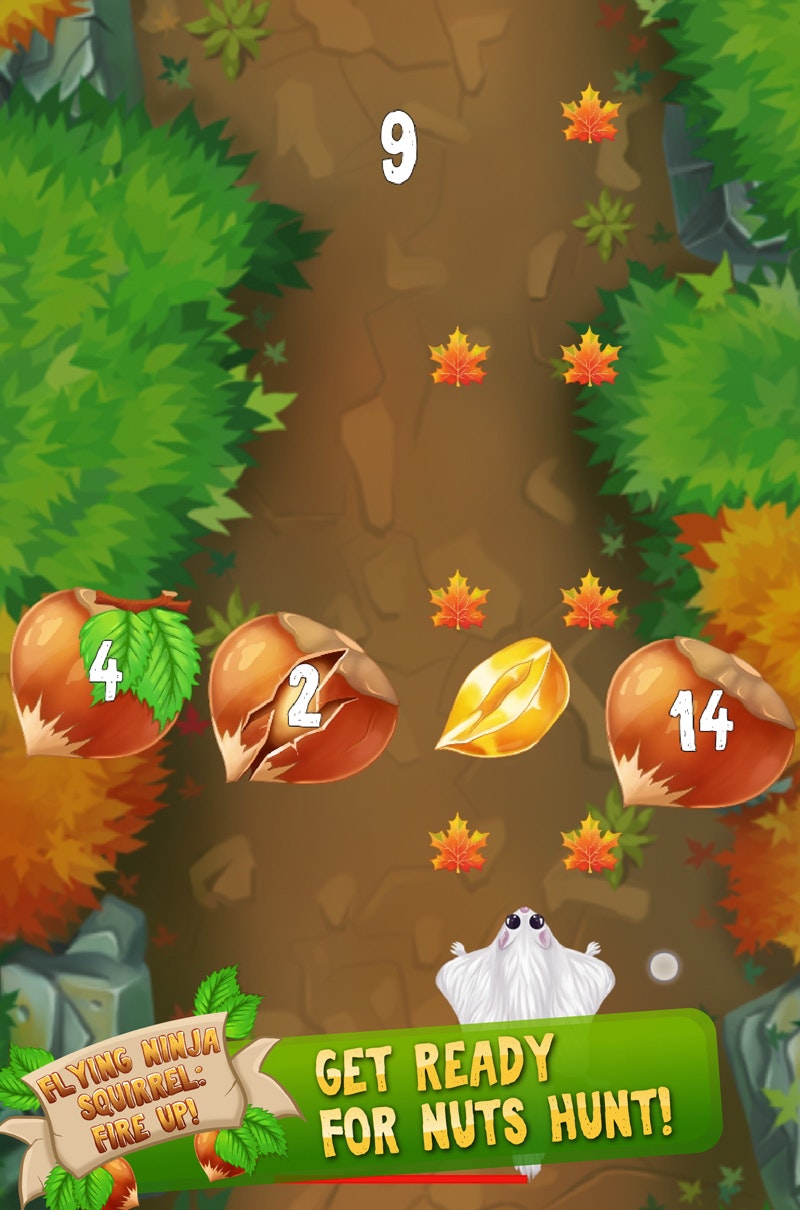 Flying Ninja Squirrel: Fire Up! gallery image