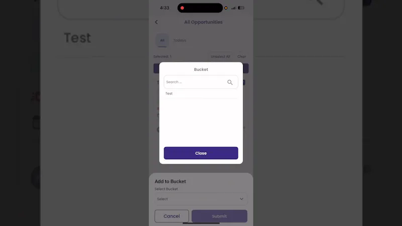 Lemai CRM screenshot 1 (video preview)
