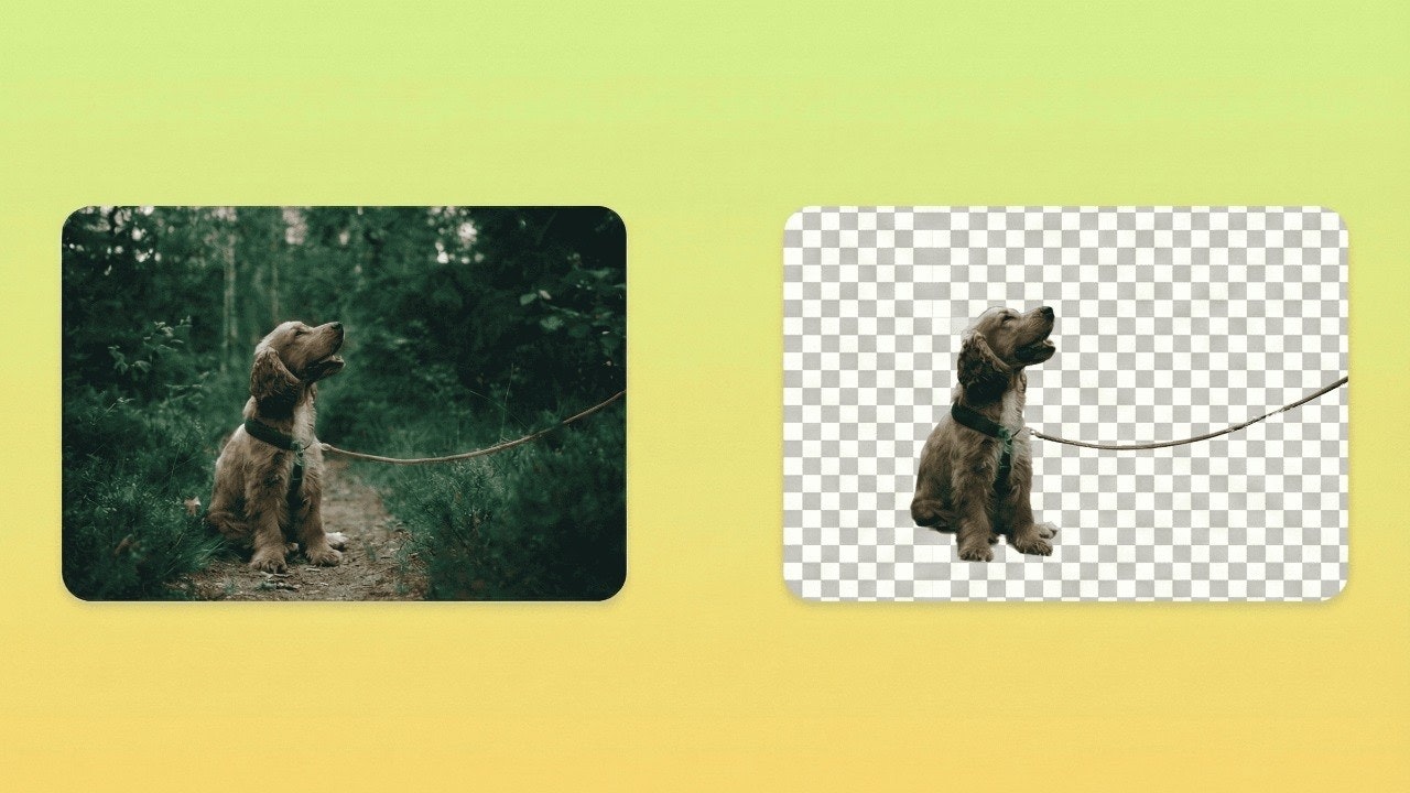 AlphaDrop gallery image
