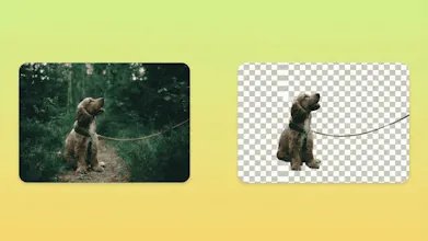 AlphaDrop gallery image