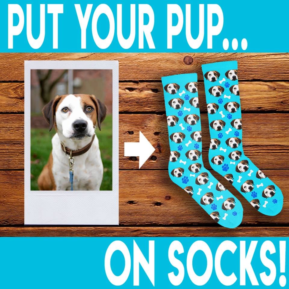 Pup Socks gallery image