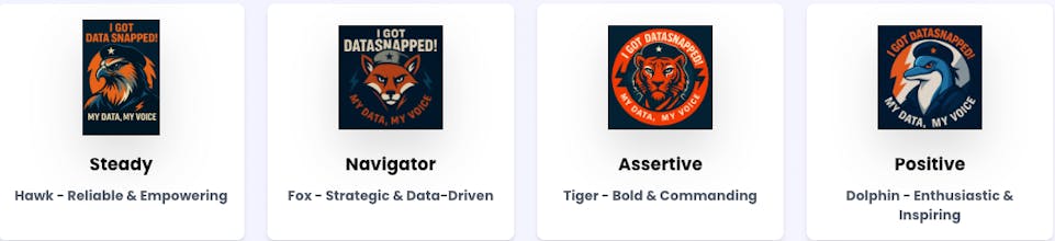 DataSnap gallery image