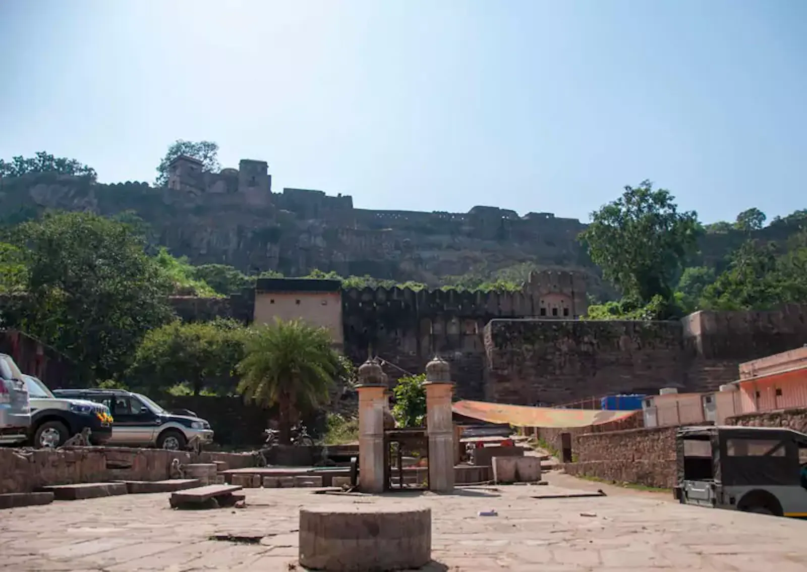 Cultural Safari Tours screenshot 2