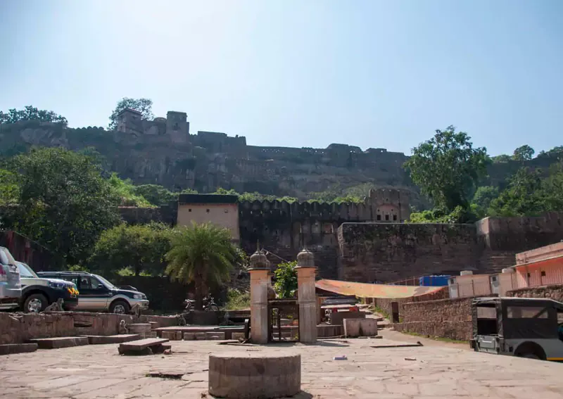 Cultural Safari Tours screenshot 2