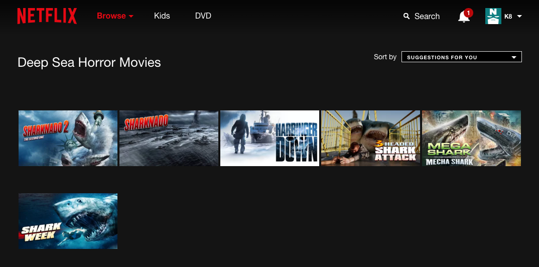 Netflix Secret Categories gallery image