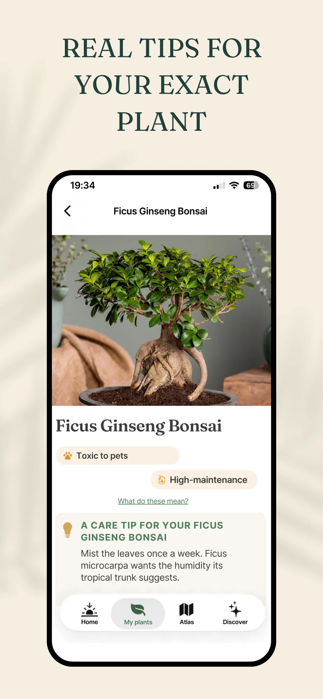Planterra - your plant care consultant gallery image