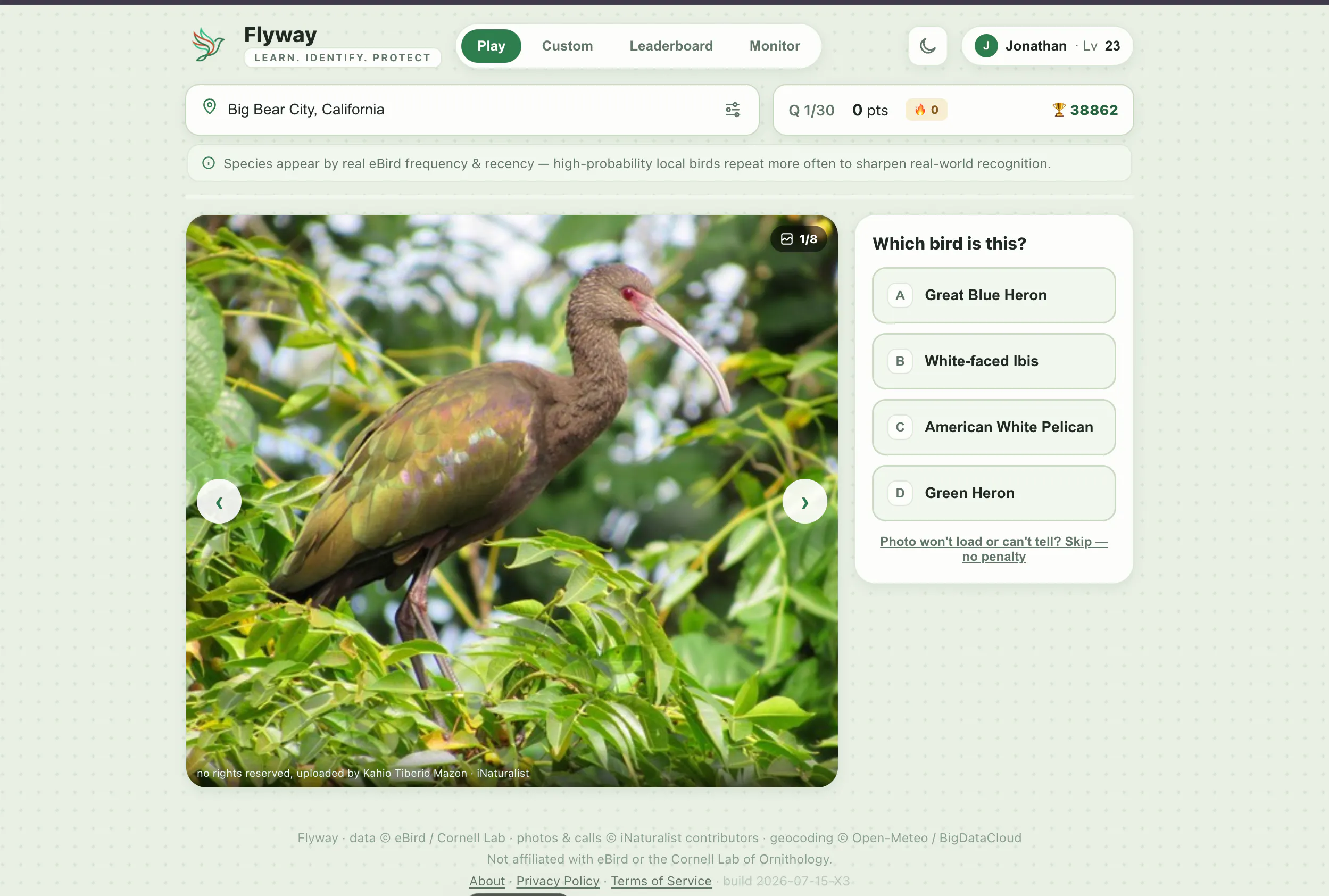Flyway gallery image