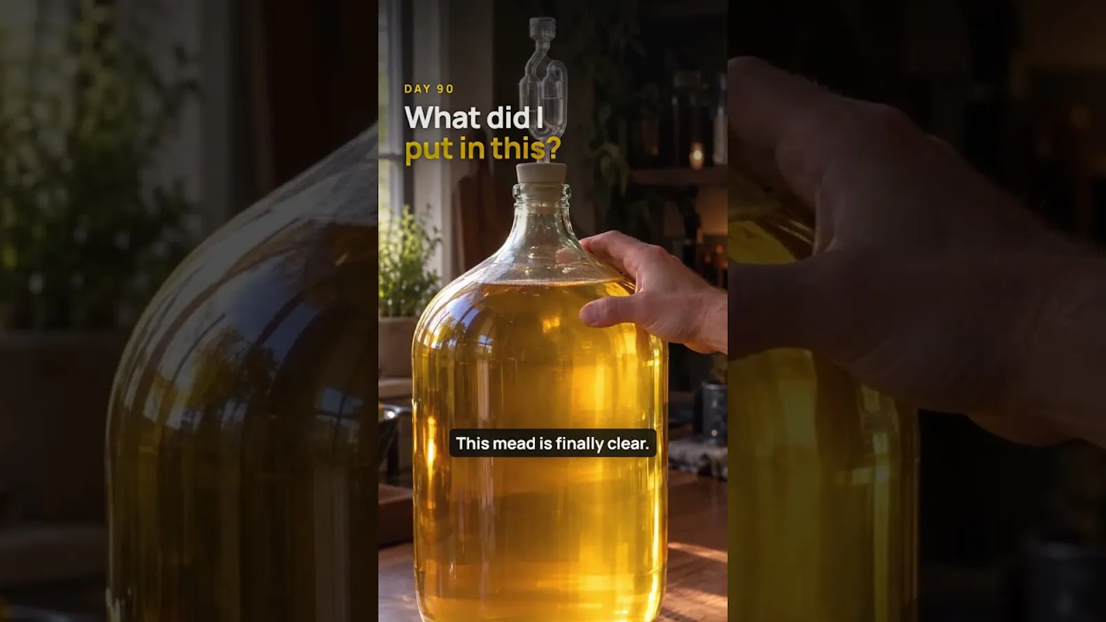 Mead Journal screenshot 1 (video preview)