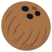 CoconutFlow