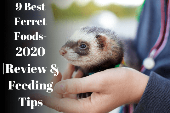 best metal dog food container gallery image