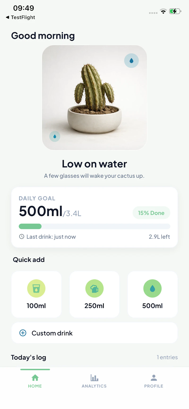 Cactus screenshot 1