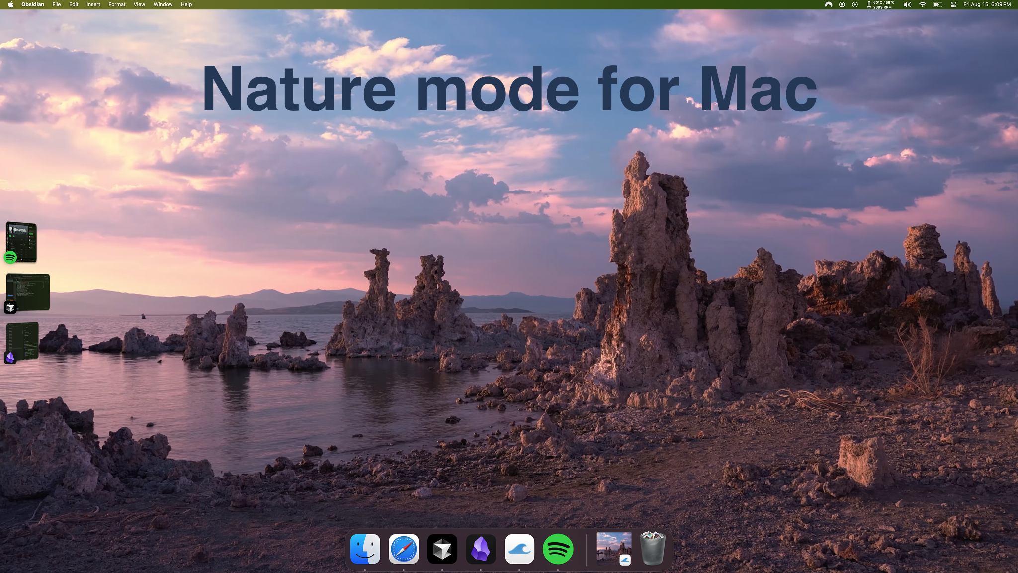 soyo™  gallery image