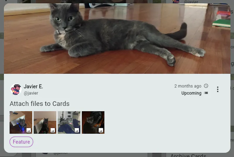 Bofe screenshot 3