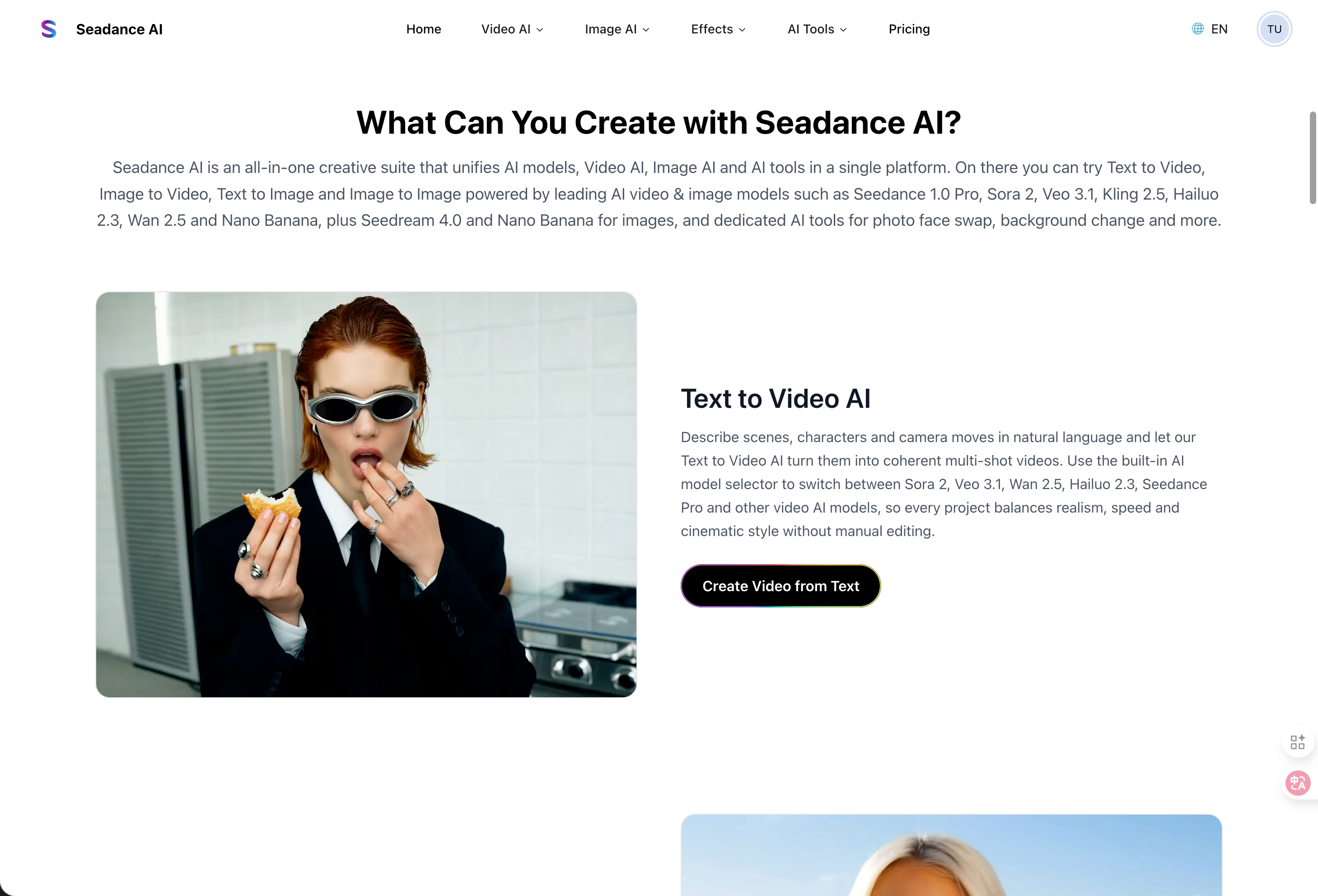 Seadance AI gallery image