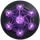 Glia