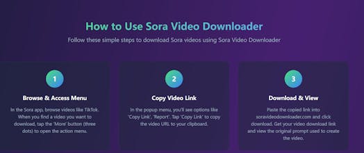Sora Video Downloader gallery image