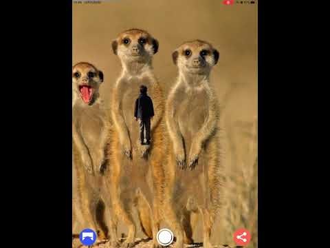 Virtual Backgrounds Camera gallery image