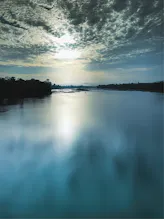 IRIS Flow gallery image