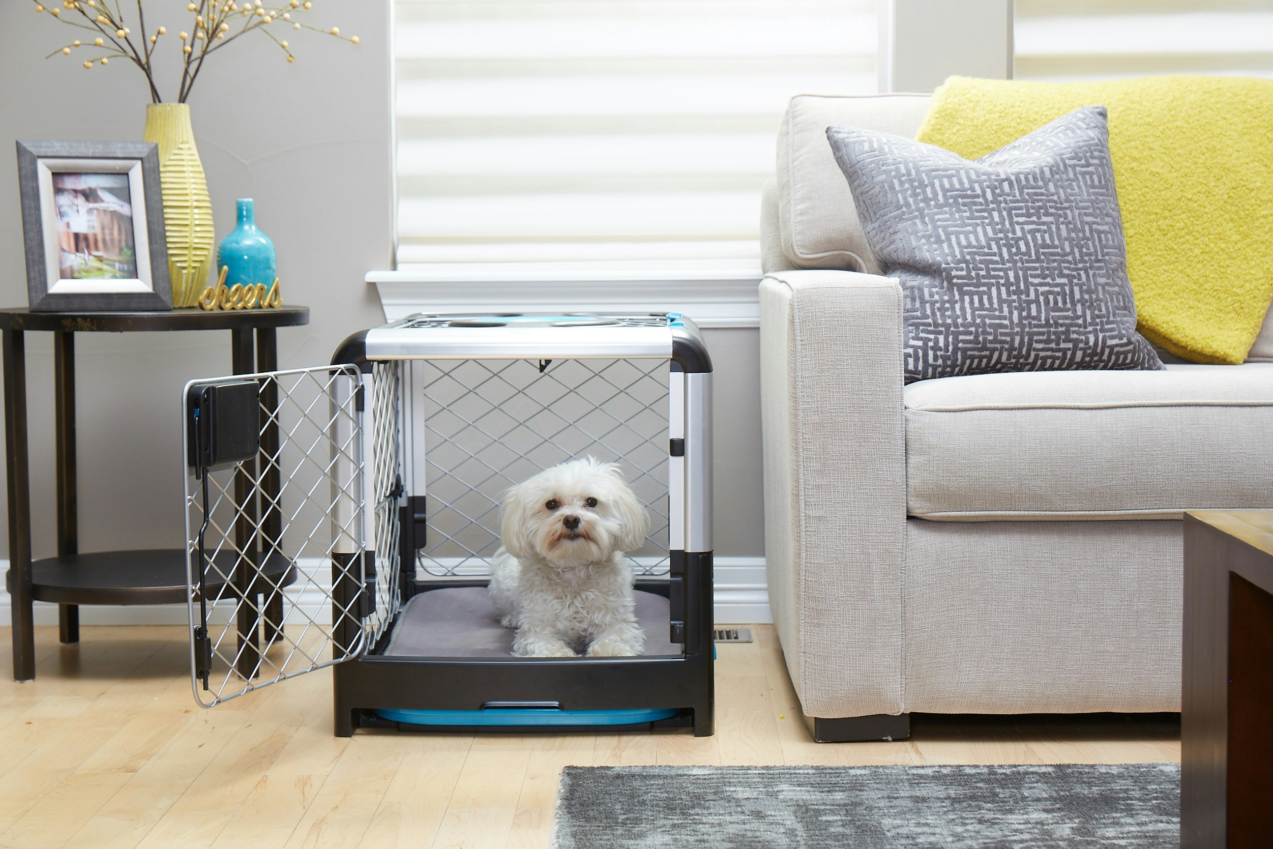 Revol Dog Crate + Snooz Pad: A Dog Crate Revolution gallery image
