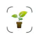 Plant Identifier and Care