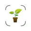 Plant Care