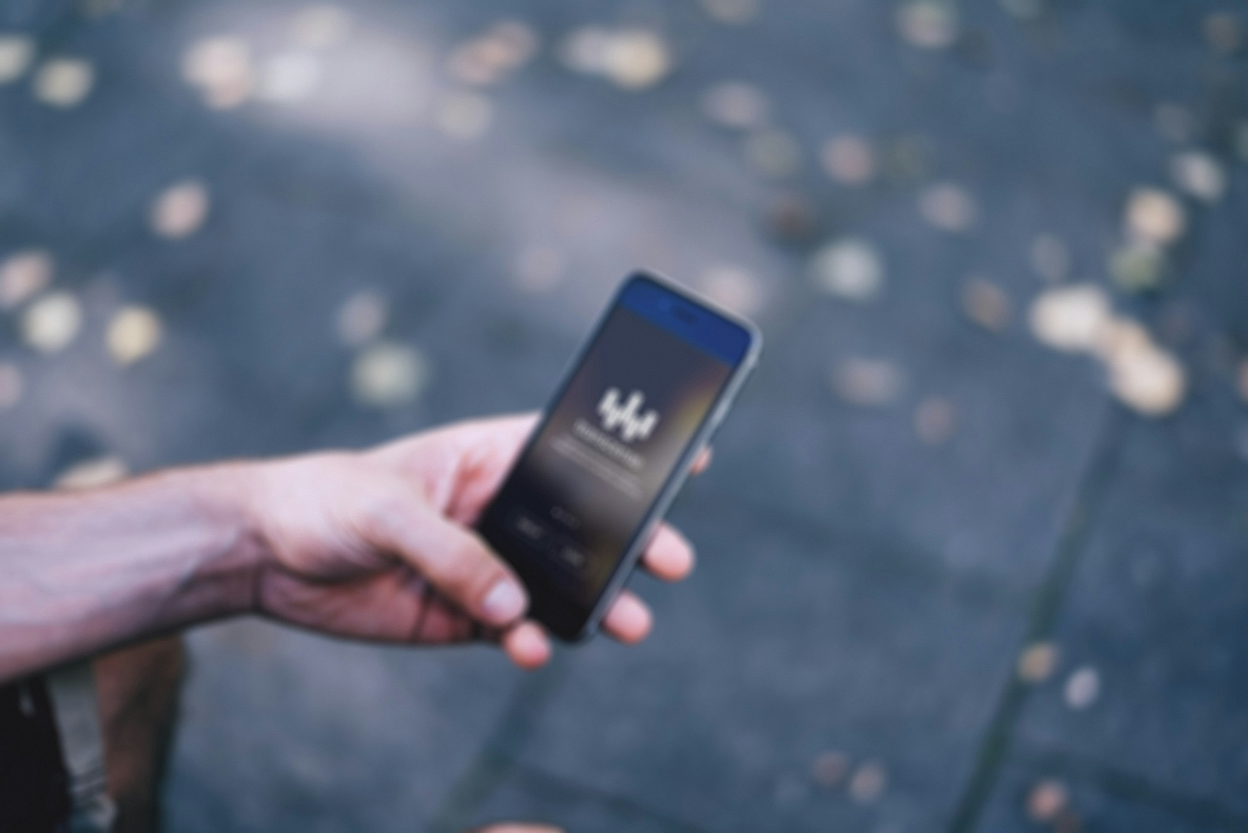 Transcense gallery image