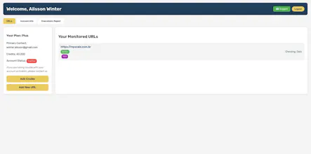24/7 Uptime, SSL & SEO Alerts gallery image