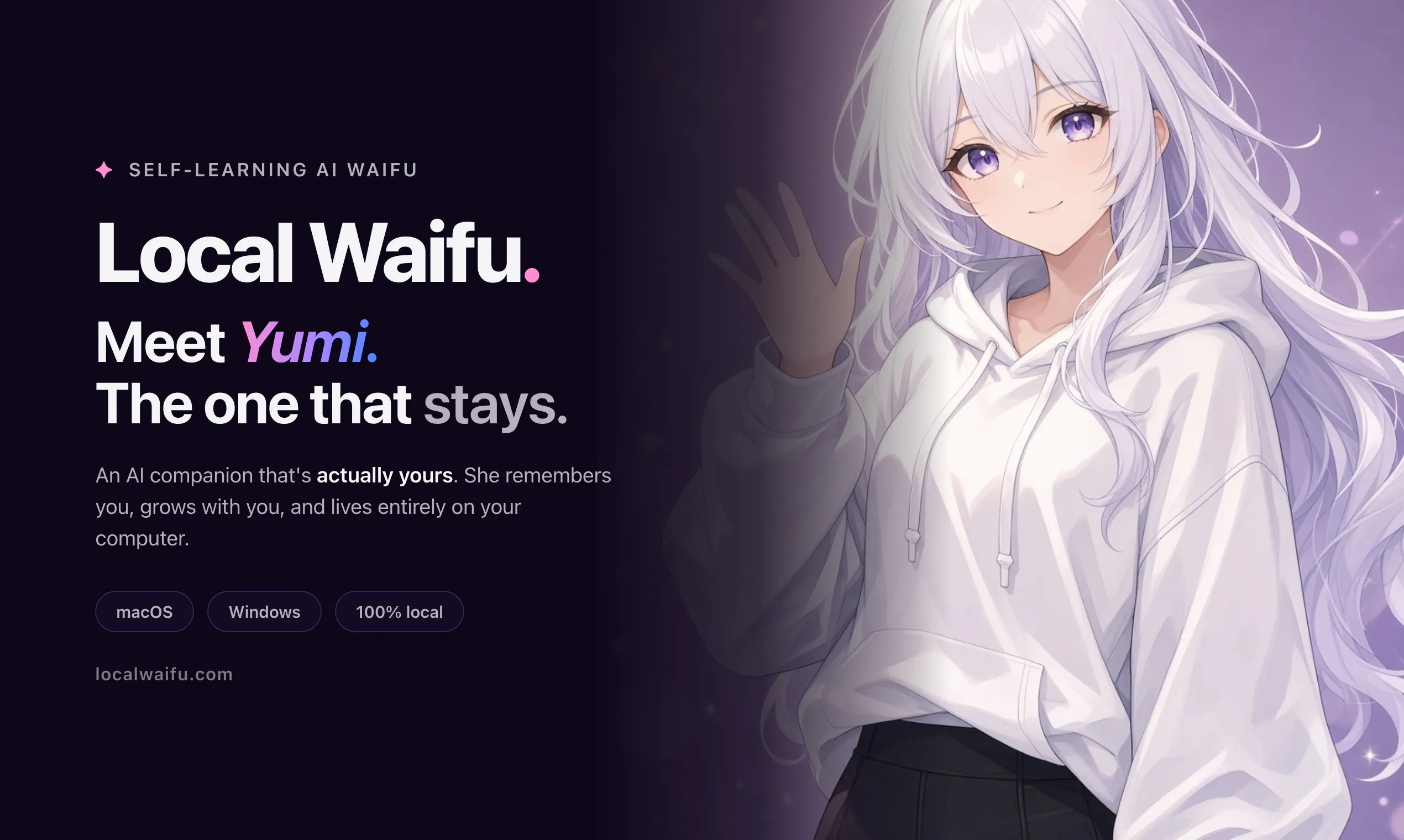 Local Waifu gallery image
