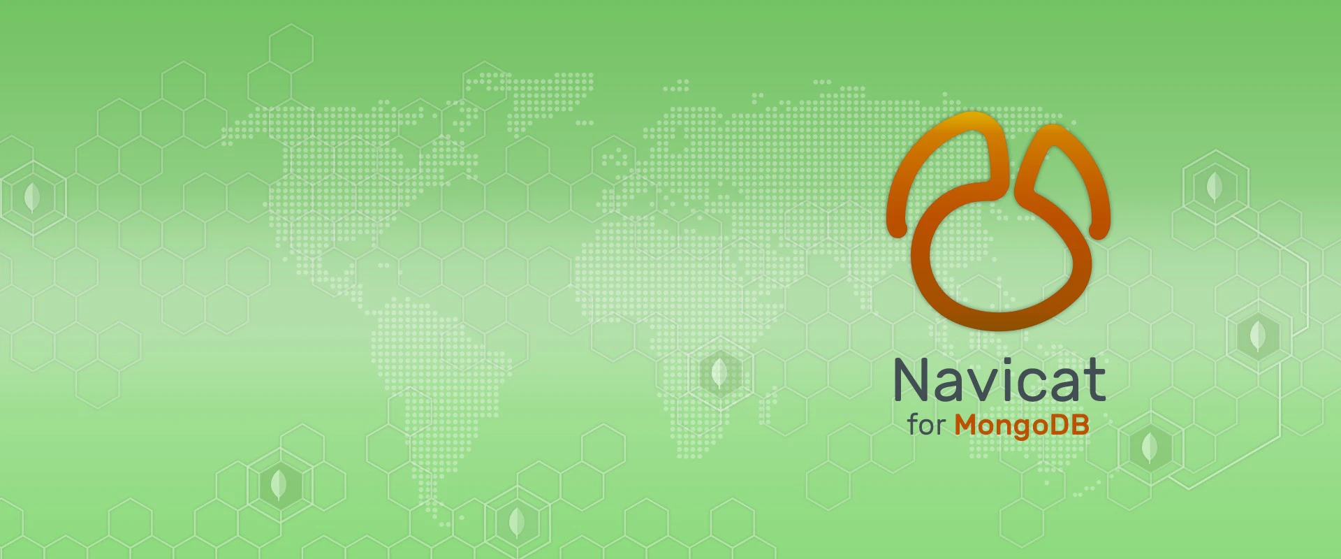 Navicat Database Manager for MongoDB