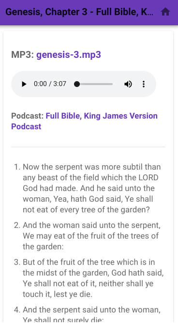 Podcast Bible gallery image