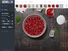 SceneLab gallery image