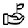 Seed