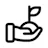 Seed