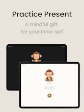 ZenMonkey gallery image