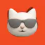 CoinCat