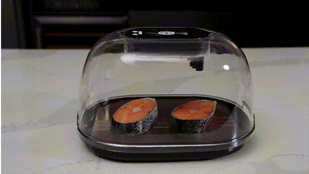 ICEFIRE-Quick Food Defrost8X Faster  gallery image