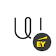 Wire by EY