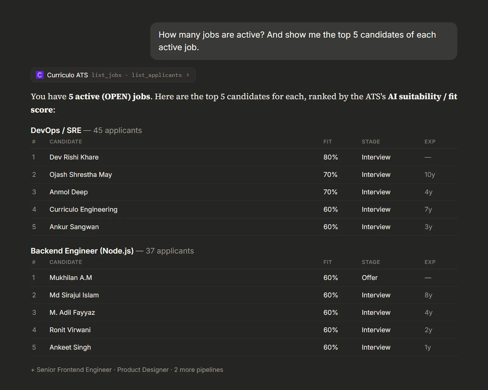 Curriculo ATS MCP screenshot 4
