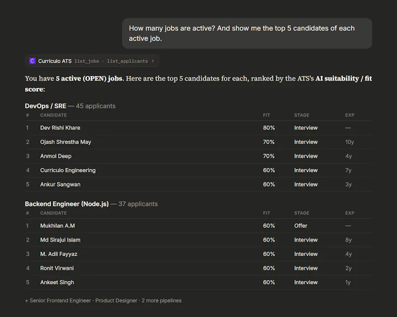 Curriculo ATS MCP screenshot 4