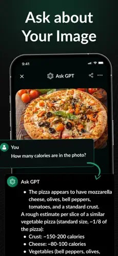 Mídia 2 de Pergunte ao GPT-4: Avidence GPT AI Chat - Assistente de bate-papo da AI de próxima geração, alimentado pelo GPT-4