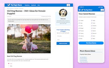 My Dog's Name gallery image