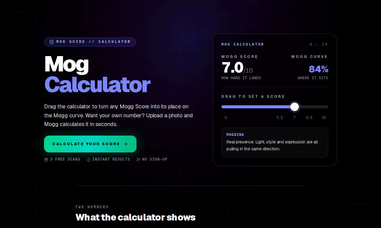 Mogg.ai gallery image