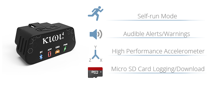 Kiwi 4 gallery image