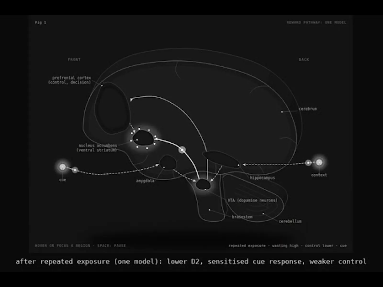 Anima screenshot 1 (video preview)