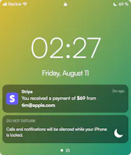 Stripe Payment Notification Generator gallery image