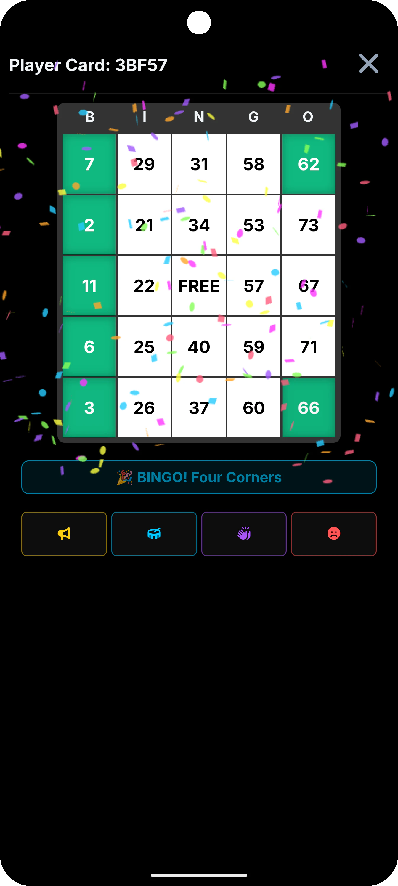 Bingo Caller Pro & Tambola 截图 5
