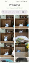 Prompto gallery image