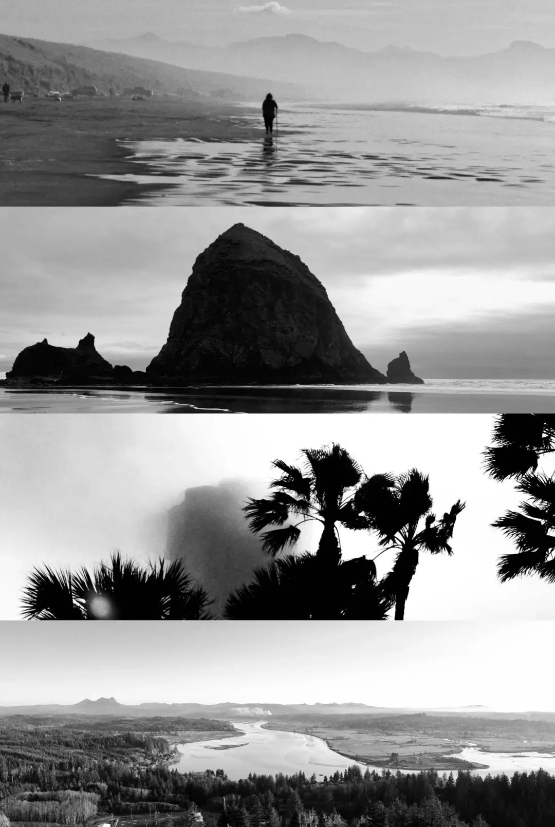 mood.camera - iPhone -Fotografie mit authentischer Filmcharakter Medien 8